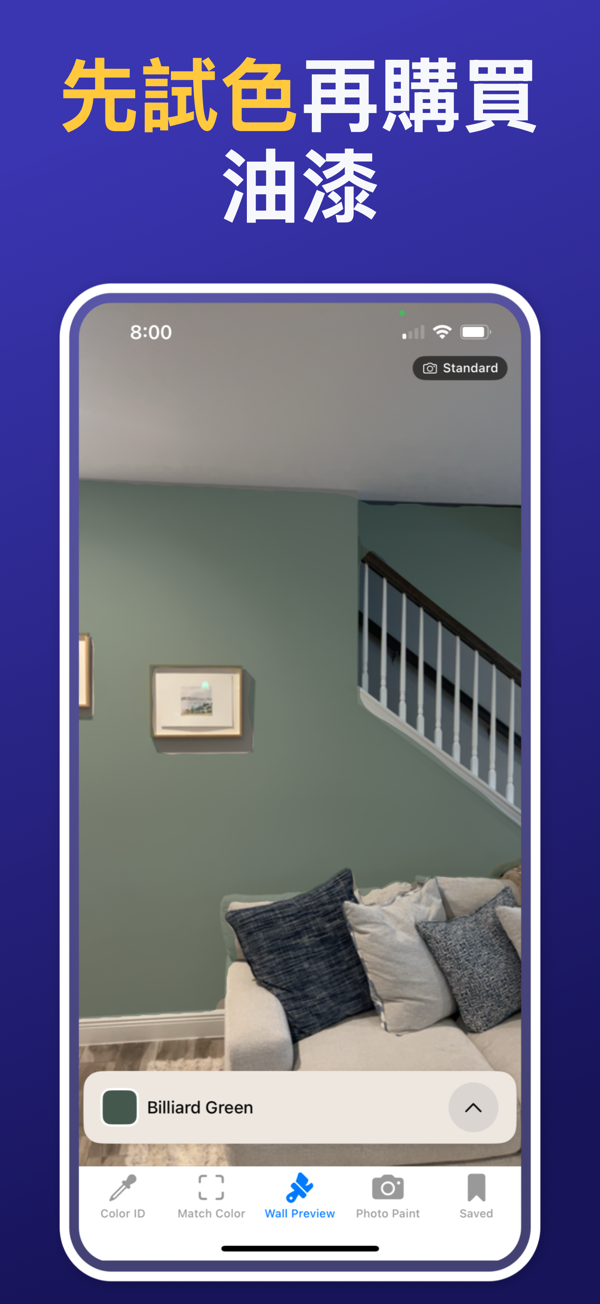 Paint Color Match & Preview app showing live color identification feature