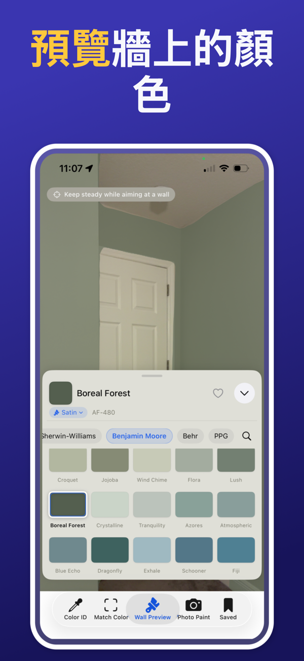 Paint Color Match & Preview additional feature view